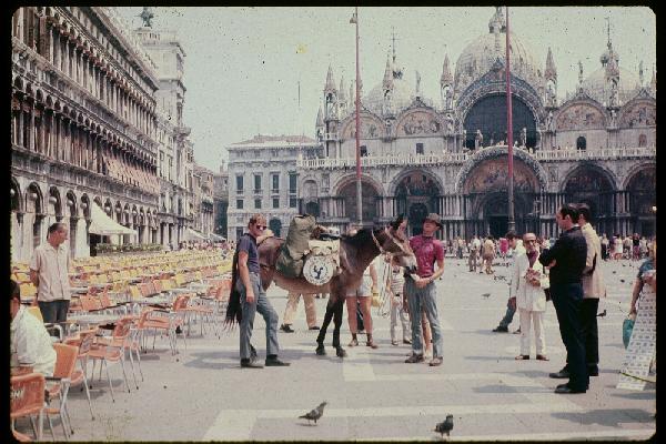 Brothers with mule in Venice, Italy